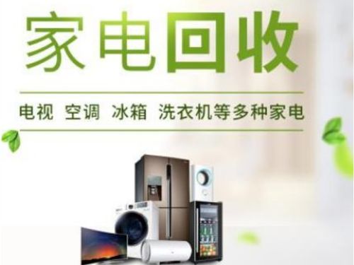 家用电器企业商情 洞察市场动态与把握未来趋势